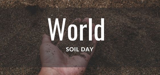 World Soil Day [विश्व मृदा दिवस]